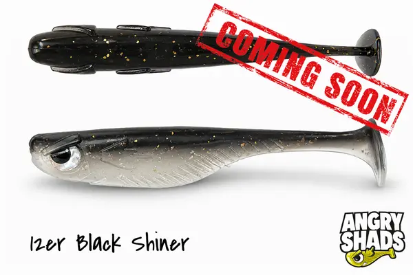 Black Shiner 12cm